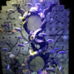 Meet your Posher, William